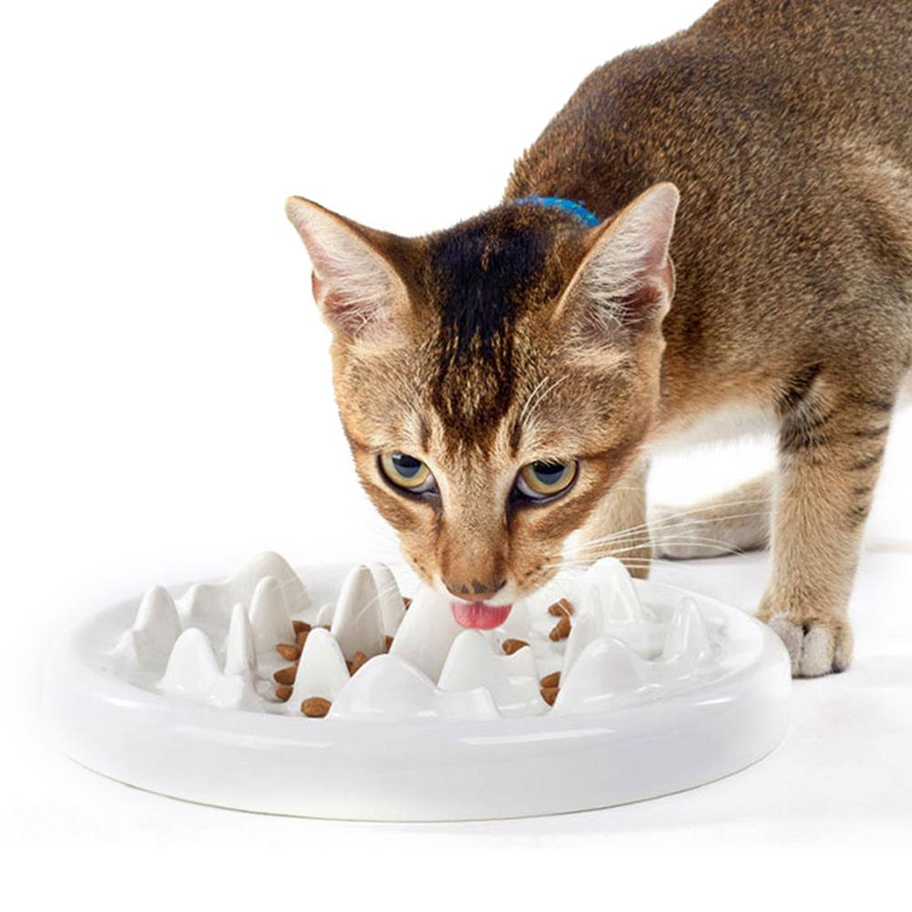 Ceramic Cat Slow Feeder Ceramic Cat Slow Feeder